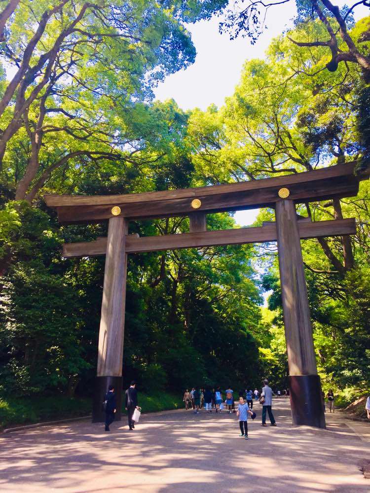 Tokyo, Santuario Meiji