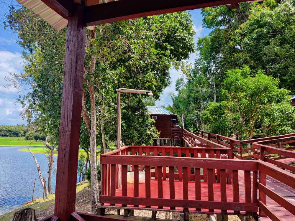 Manaus, Amazon EcoPark Jungle Lodge