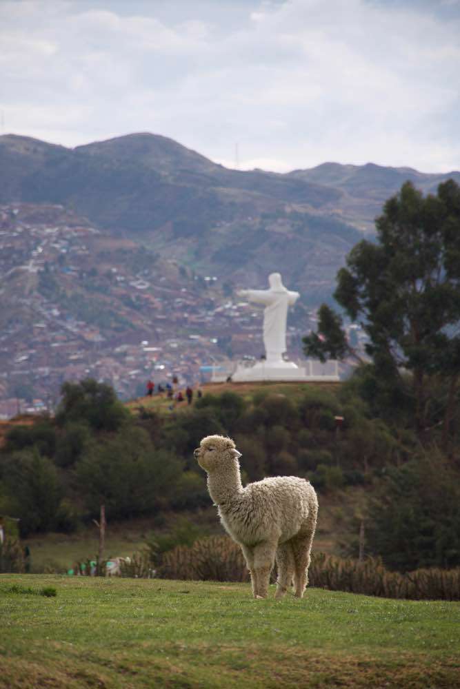 Cusco, Saqsaywaman