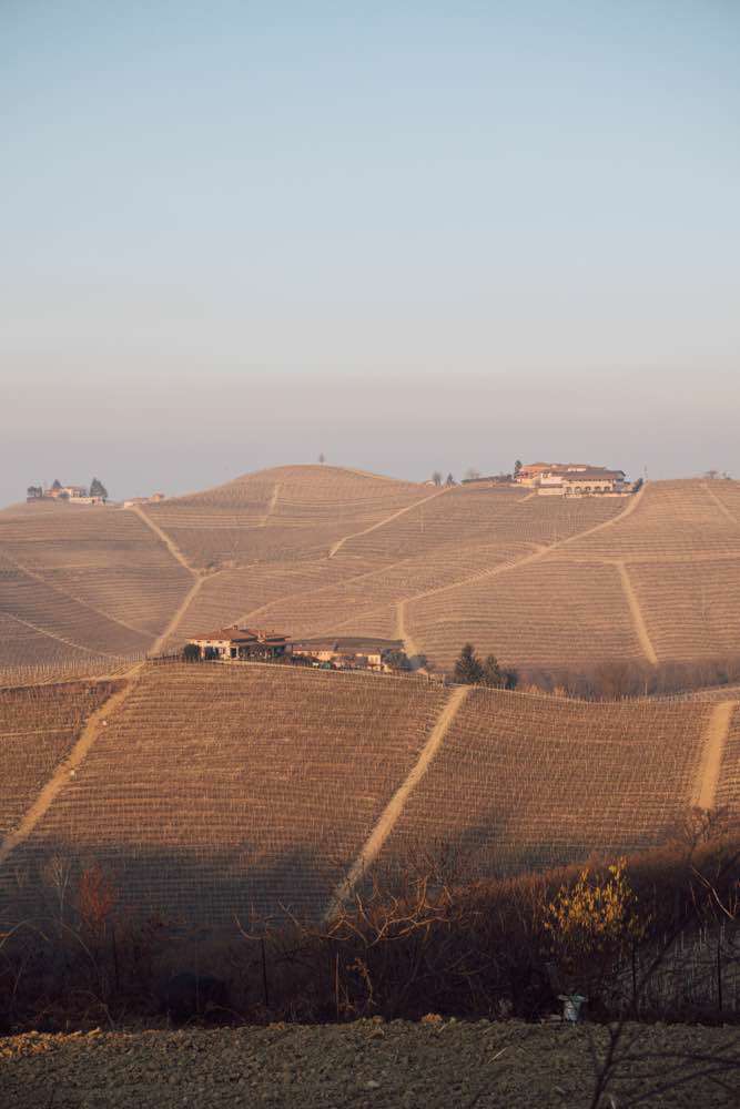 Province of Cuneo, Langhe