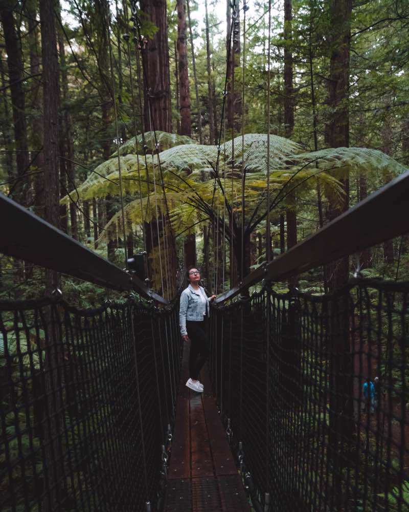 Rotorua, Redwoods Treewalk