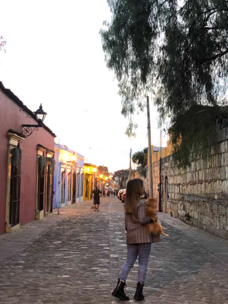 Oaxaca de Juárez, Barrio de Xochimilco