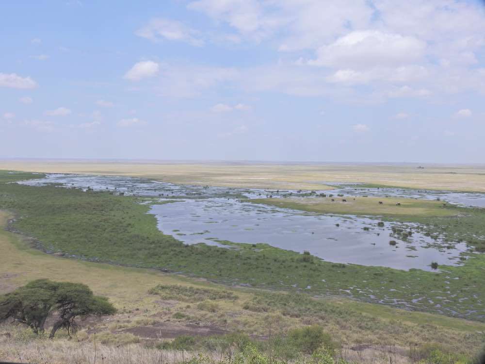 Amboseli National Park, Amboseli