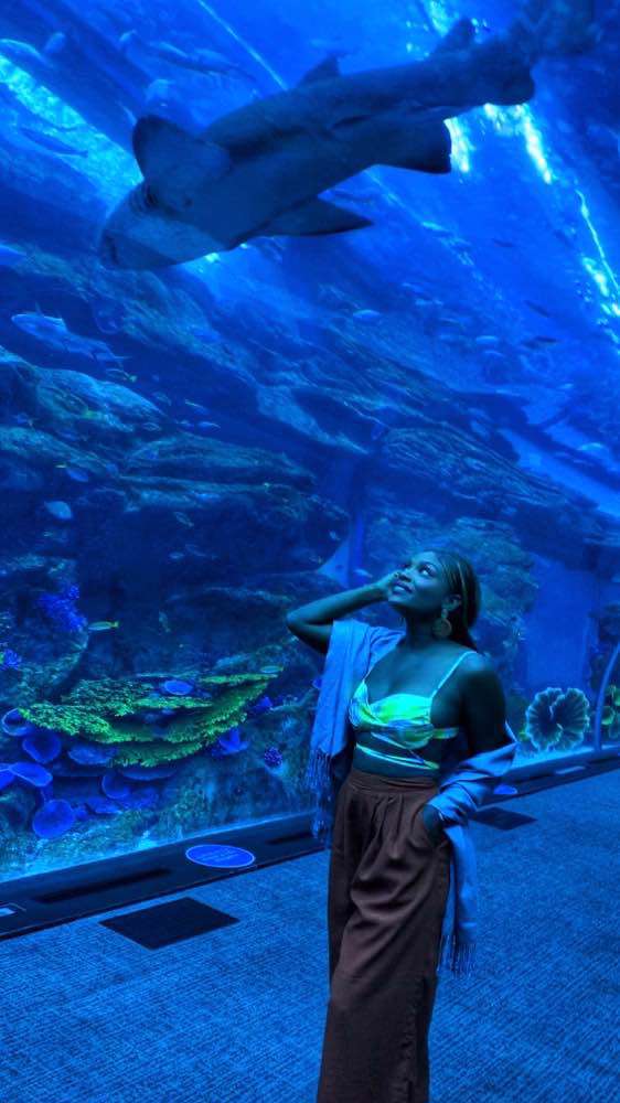 Dubai, Dubai Aquarium (حوض دبي للأسماك)