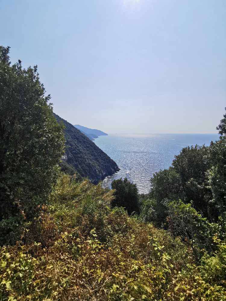 Vernazza SP, Monterosso al Mare, Sentiero Monterosso - Vernazza