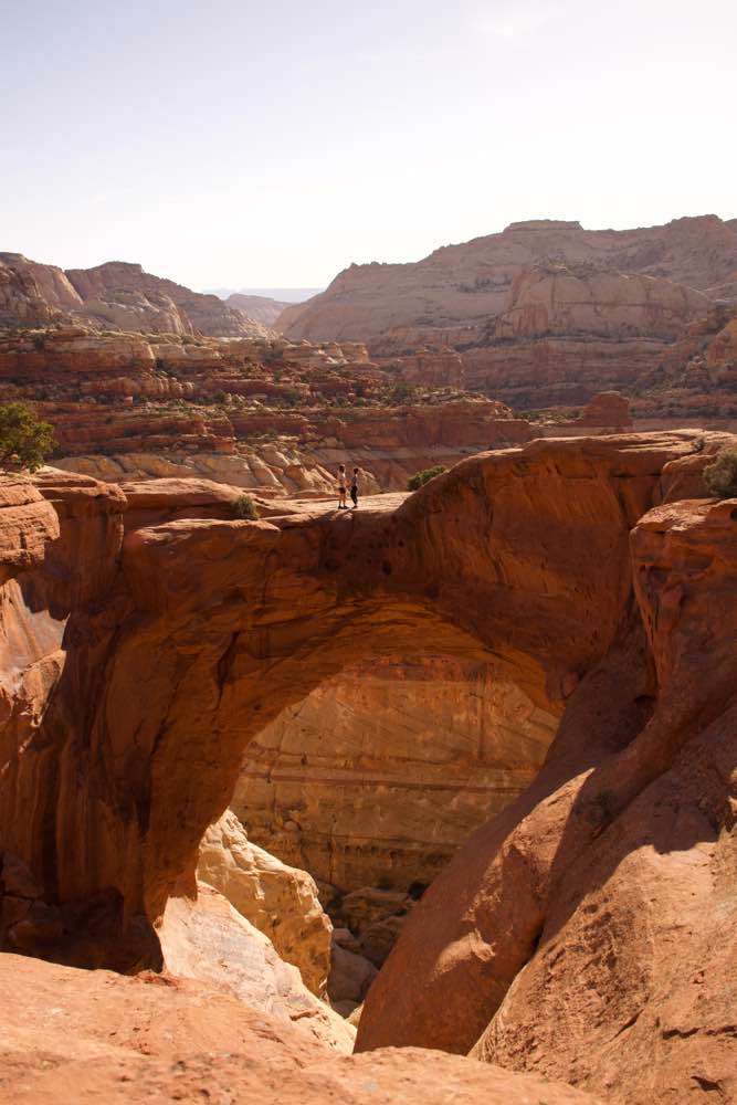 Capitol Reef National Park , Cassidy Arch Trailhead