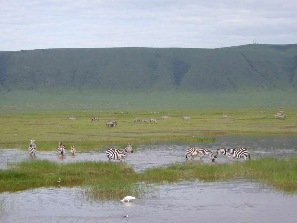 Ngorongoro, Ngorongoro Crater
