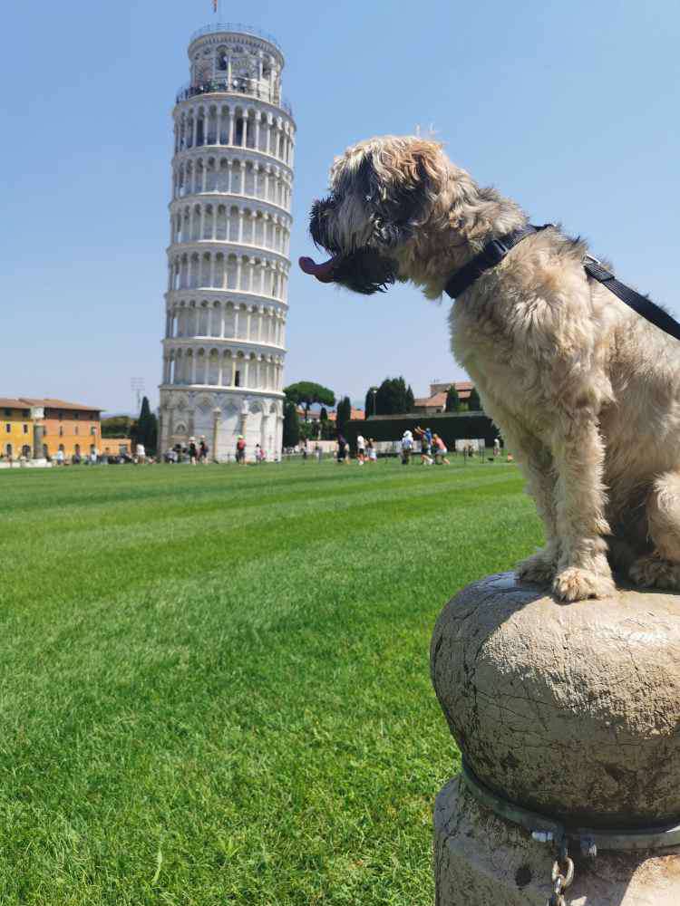 Pisa, Leaning Tower of Pisa