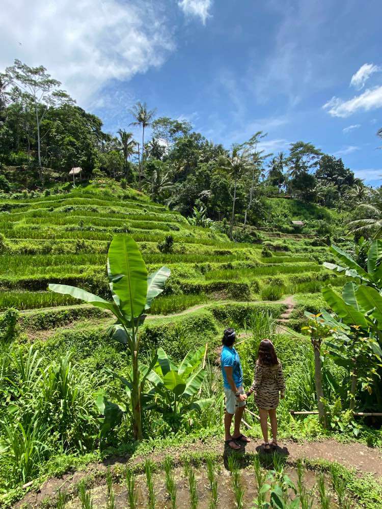 Ubud, Tegallalang Rice Terrace