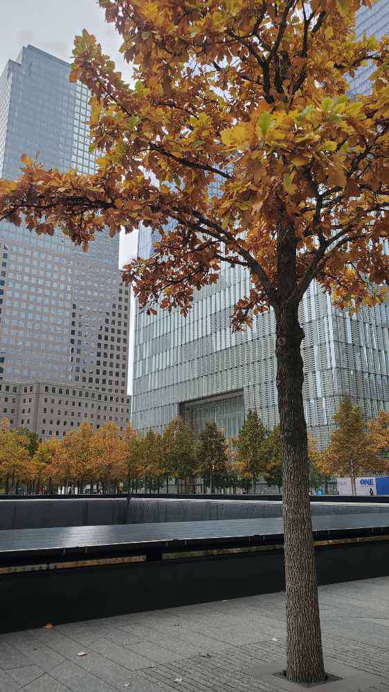 New York, 9/11 Memorial & Museum