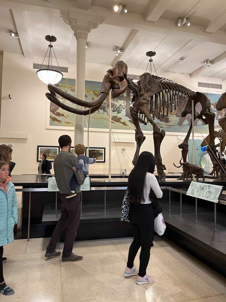 New York, American Museum of Natural History