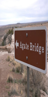 Petrified Forest National Park, Agate Bridge