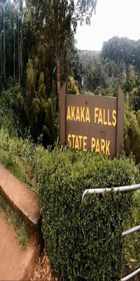 Hawaii, Akaka Falls State Park