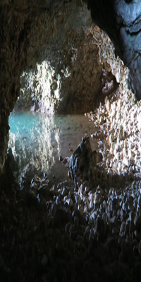 Barbados, Animal Flower Cave