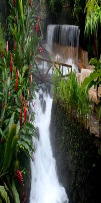  La Fortuna, Arenal's hot springs