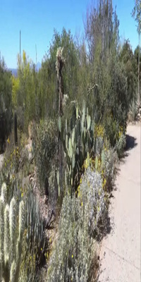 Saguaro National Park, Arizona Sonora Desert Museum