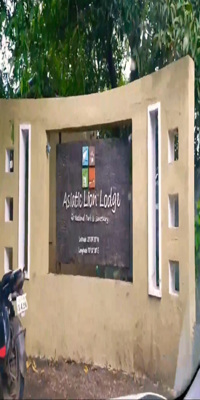 Gujarat, Asiatic Lion Lodge