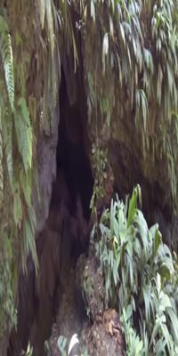 Isla Bastimentos, Bat Caves 