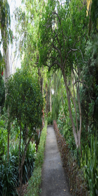 Puerto de la Cruz, Botanical Garden