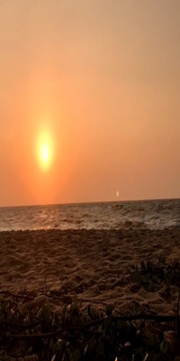 Negombo , Brown Beach