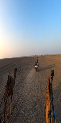 Kutch, Camel Ride Through The Desert 