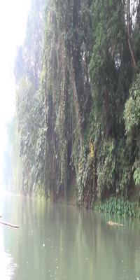Chitwan, Canoe ride