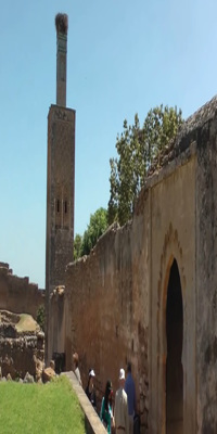 Rabat, Chellah Necropolis