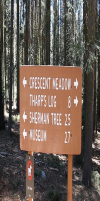 Sequoia National Park,  Crescent Meadow