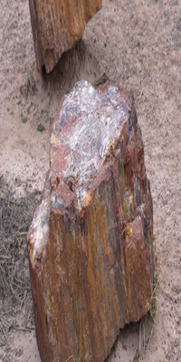Petrified Forest National Park, Crystal Forest