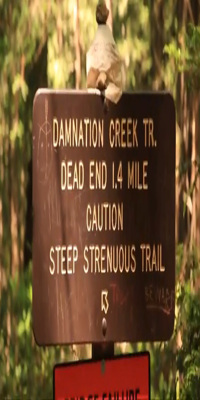Redwoods National Park, Damnation Creek Trail