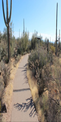 Saguaro National Park, Desert Discovery Nature Trail
