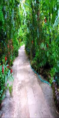 Saint Lucia, Diamond Botanical Gardens
