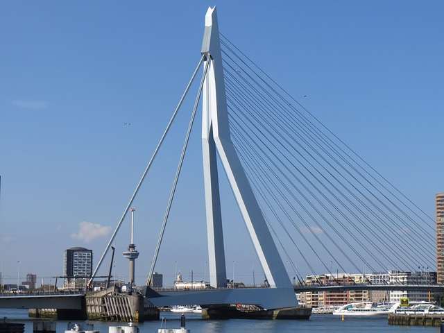 Rotterdam, Erasmusbrug