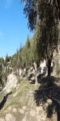Jerusalem, Gethsemane