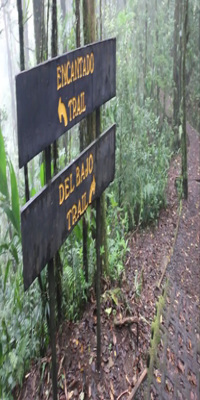 Bajos del Toro, Hiking trails