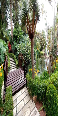 Puerto de la Cruz, Hotel Botanico & The Oriental Spa Garden