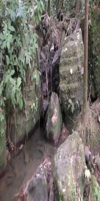 El Yunque, Juan Diego Creek and Angelito Trail