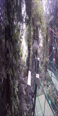  La Fortuna, Jungle canopy