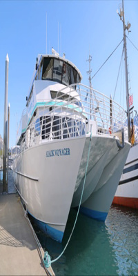 Seward,  Kenai Fjords cruise
