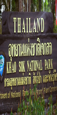 Surat Thani, Khao Sok National Park