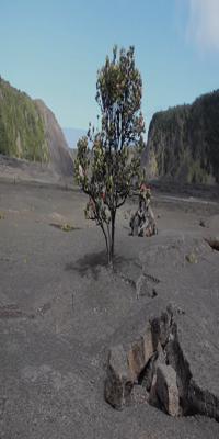 Volcano, Kilauea Iki Crater