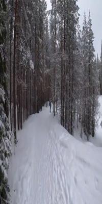 Rovaniemi, Korouoma National Park.