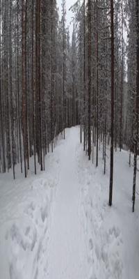 Rovaniemi, Korouoma National Park.
