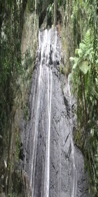El Yunque, La Coca Falls