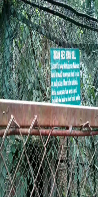 Shillong, Lady Hydari Park