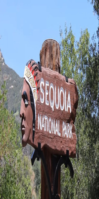 Sequoia National Park, Lodgepole