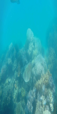 Great Barrier Reef, Low Isles