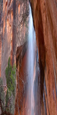  Zion National Park, Lower Emerald Pool