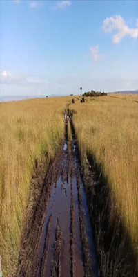 Lake Nakuru, Maasai Mara Reserve