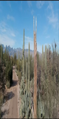 Saguaro National Park, Mica View Trail